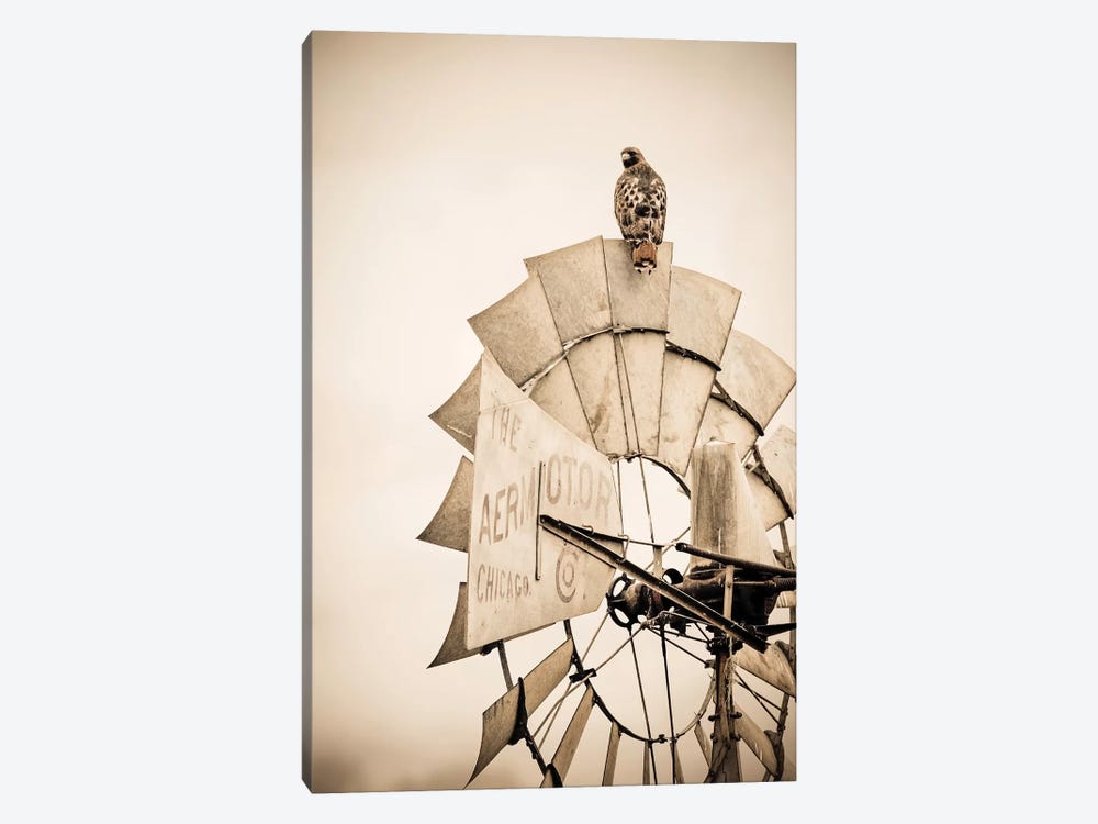 Hawk And Windmill Tan 1-piece Canvas Art