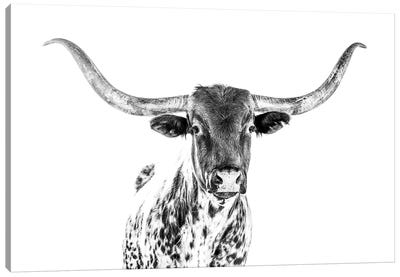 Longhorn Bw Canvas Art Print - Black & White Animal Art