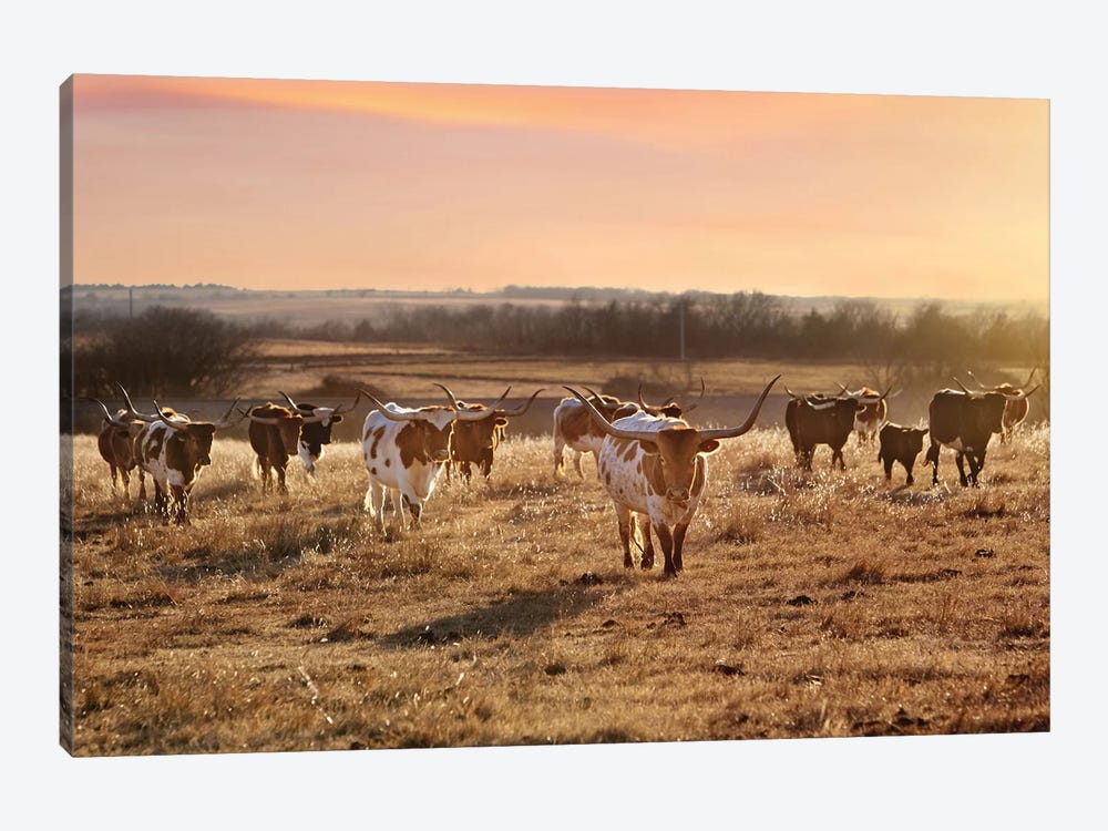 Longhorn Herd At Sunset by Teri James 1-piece Art Print