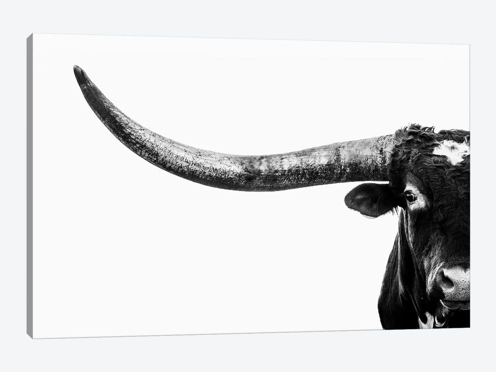 Longhorn Horn Black And White by Teri James 1-piece Canvas Art Print