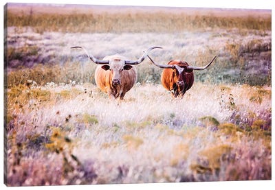 Longhorns In Flowers Canvas Art Print - Teri James