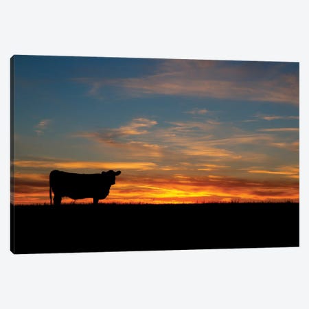 Sunset Cow Canvas Print #TEJ72} by Teri James Canvas Wall Art
