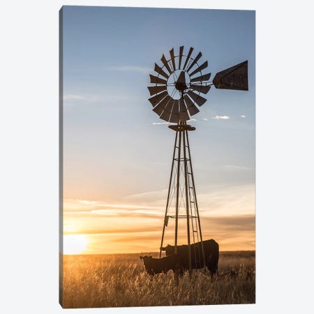 Windmill And Angus Cow Canvas Print #TEJ80} by Teri James Canvas Print