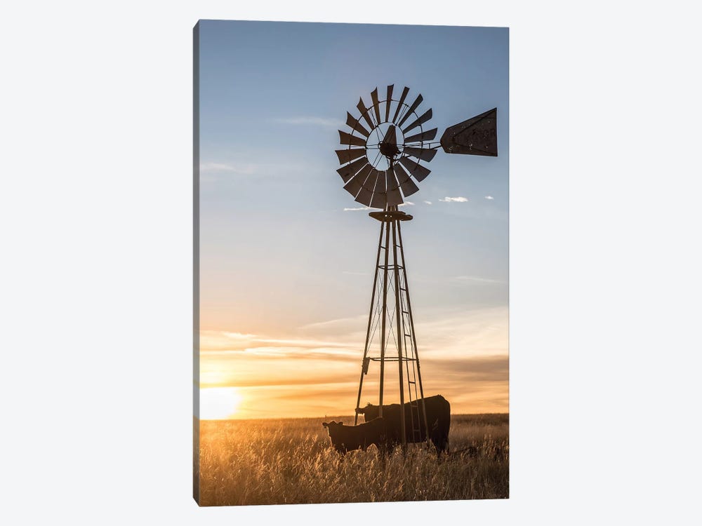 Windmill And Angus Cow by Teri James 1-piece Canvas Art