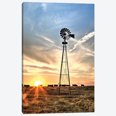 Windmill And Sunburst Big Pasture Canvas Print #TEJ81} by Teri James Art Print