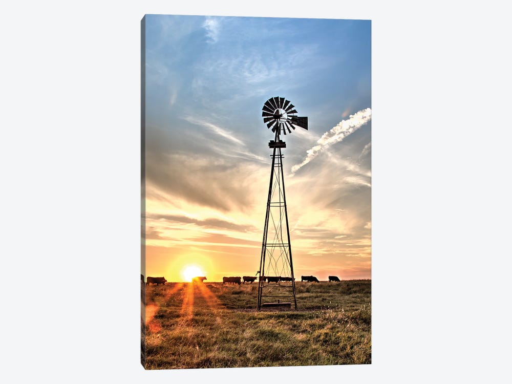 Windmill And Sunburst Big Pasture by Teri James 1-piece Canvas Art Print