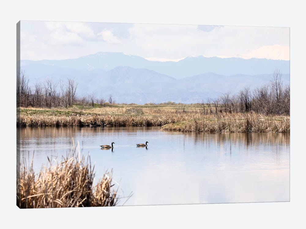 Geese On Mountain Lake by Teri James 1-piece Canvas Wall Art