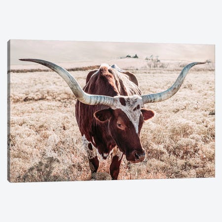 Texas Longhorn Cow Farmhouse Colors Canvas Print #TEJ85} by Teri James Canvas Art