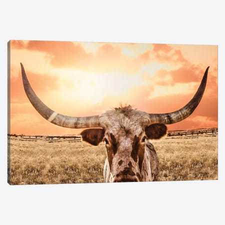 Texas Longhorn Cow & Orange Sunset Canvas Print #TEJ87} by Teri James Canvas Art
