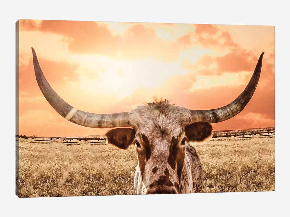 Texas Longhorn Cow & Orange Sunset by Teri James 1-piece Canvas Art Print