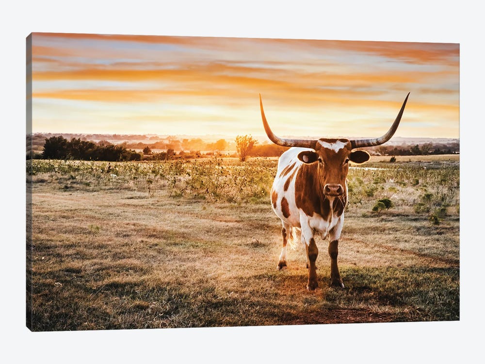 Longhorn And Yellow Sunset by Teri James 1-piece Canvas Wall Art