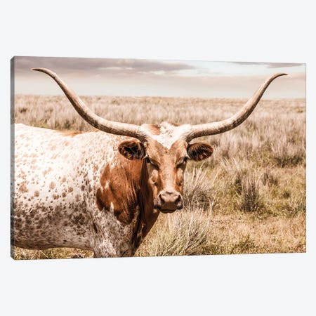 Longhorn Red Cow Canvas Print #TEJ90} by Teri James Canvas Wall Art