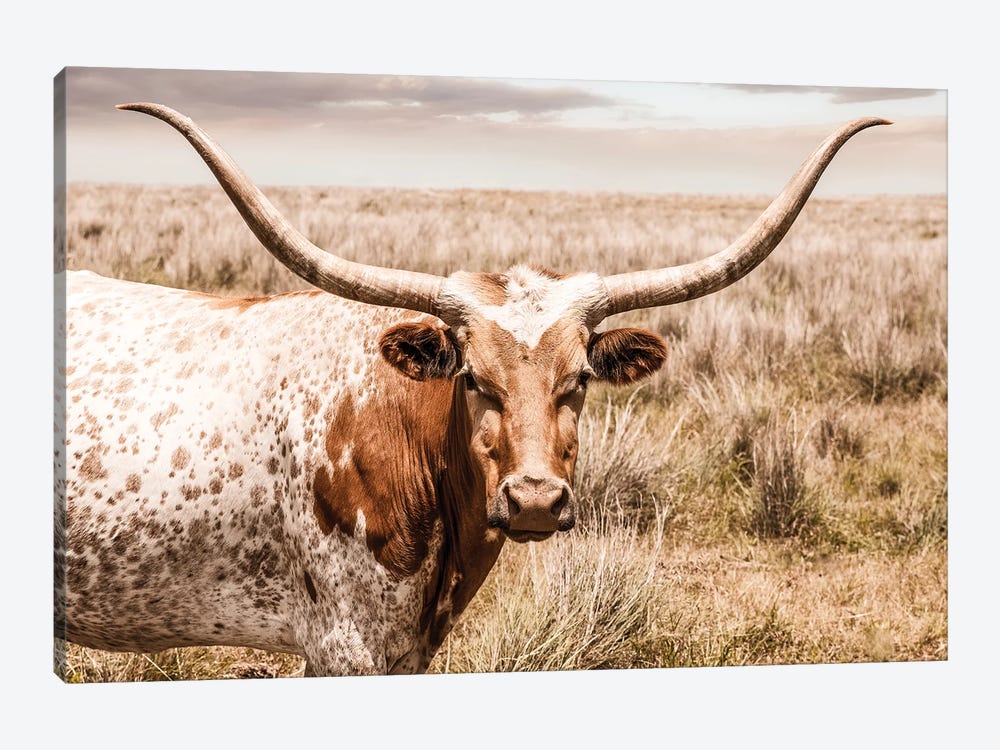 Longhorn Red Cow by Teri James 1-piece Art Print