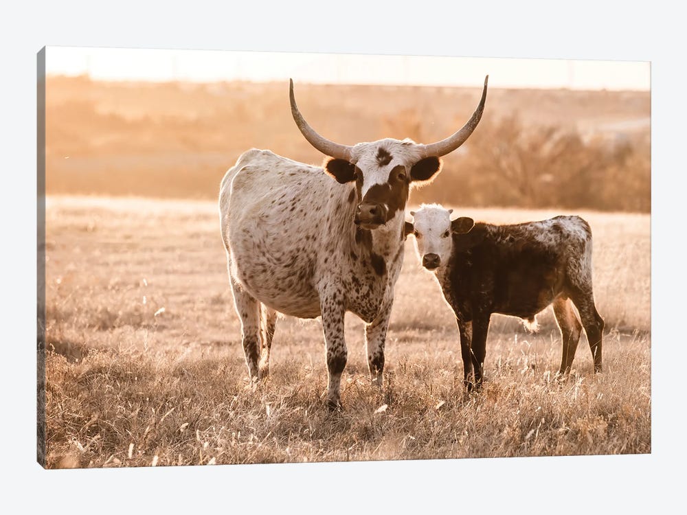 Longhorn White Speck With Calf by Teri James 1-piece Canvas Art
