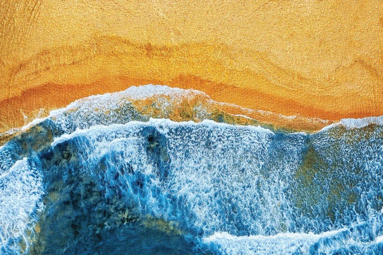 Golden Beach I by ARTenyo wall art