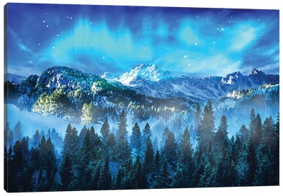 Northern Lights Canvas Art Print - Pine Trees