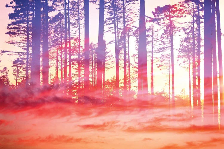 Artistic CVI - Dreamy Clouds Forest by ARTenyo wall art