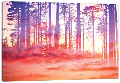 Artistic CVI - Dreamy Clouds Forest Canvas Art Print - Tenyo Marchev