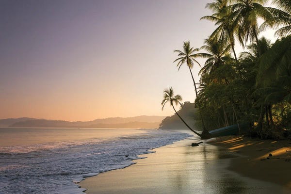 Central America: Baia Drake, Costa Rica by Matteo Colombo