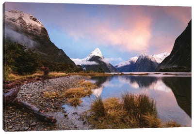 Milford Sound, New Zealand III Canvas Art Print