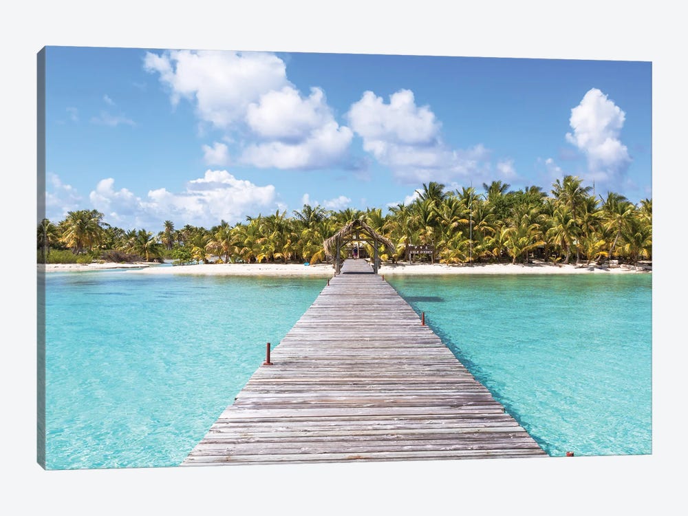 Paradise Found, Polynesia by Matteo Colombo 1-piece Canvas Wall Art