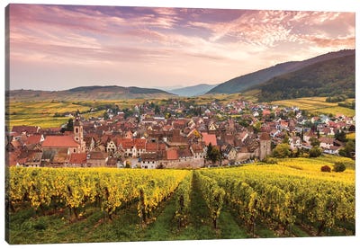 Sunset On The Vineyards, Alsace Canvas Art Print - Valley Art