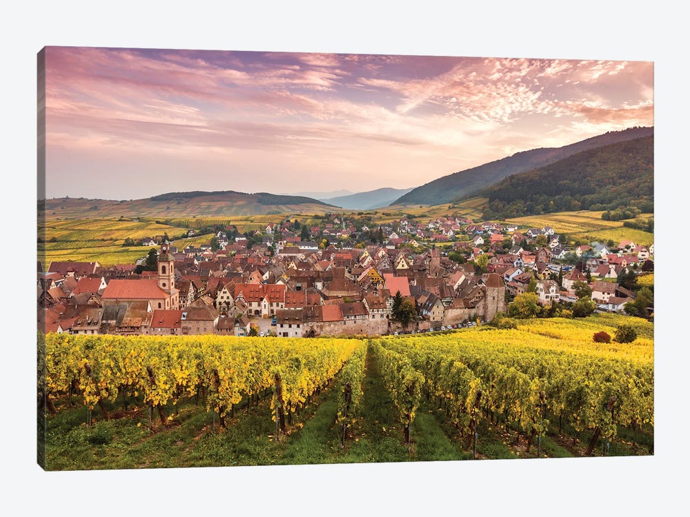 Sunset On The Vineyards, Alsace by Matteo Colombo 1-piece Canvas Artwork