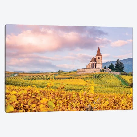 Vineyards, Alsace, France Canvas Print #TEO1037} by Matteo Colombo Canvas Art Print