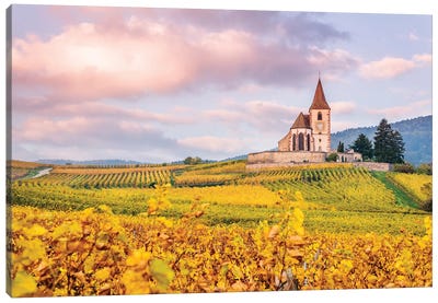 Vineyards, Alsace, France Canvas Art Print - Vineyard Art