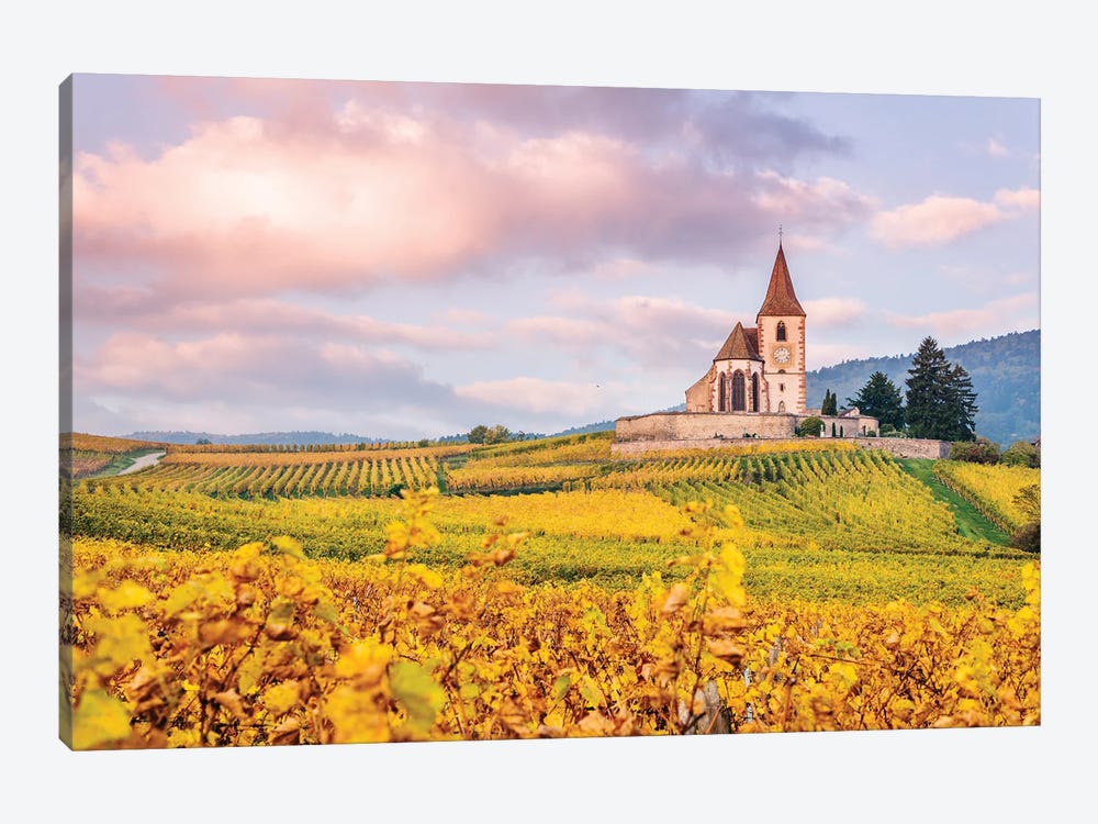 Vineyards, Alsace, France by Matteo Colombo 1-piece Canvas Art Print