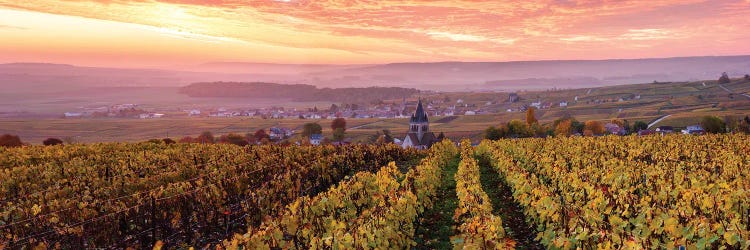 Sunrise On Champagne, France I