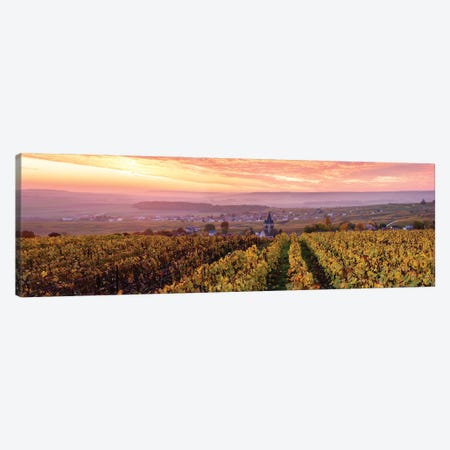 Sunrise On Champagne, France I Canvas Print #TEO1038} by Matteo Colombo Canvas Wall Art