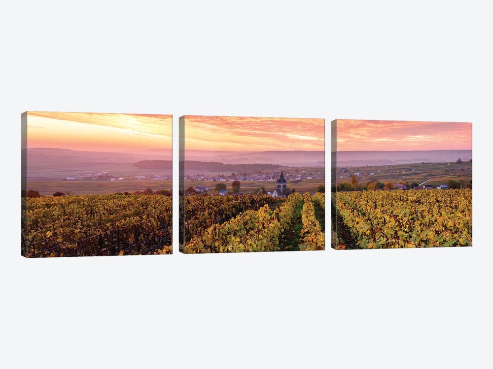 Sunrise On Champagne, France I by Matteo Colombo 3-piece Canvas Wall Art