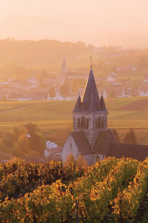 Sunrise On Champagne, France II