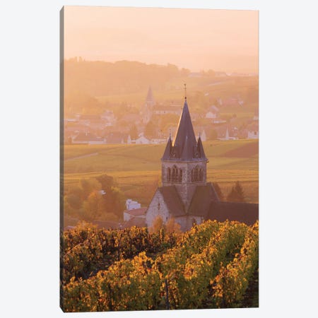 Sunrise On Champagne, France II Canvas Print #TEO1039} by Matteo Colombo Canvas Wall Art
