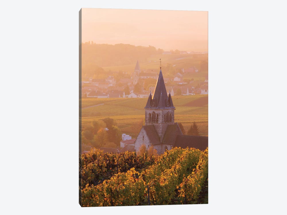 Sunrise On Champagne, France II by Matteo Colombo 1-piece Canvas Print