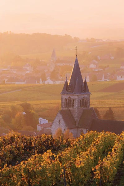 Valleys: Sunrise On Champagne, France II by Matteo Colombo