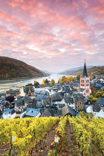 Vineyards: Sunset On The Rhine, Germany I by Matteo Colombo
