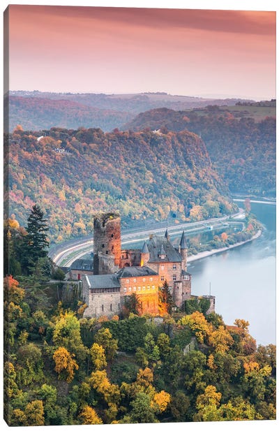 Romantic Rhine, Germany I Canvas Art Print - Castle & Palace Art