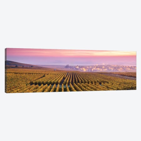 Champagne, France Canvas Print #TEO1044} by Matteo Colombo Canvas Wall Art
