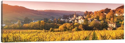 Vineyards In Burgundy, France Canvas Art Print - Village & Town Art