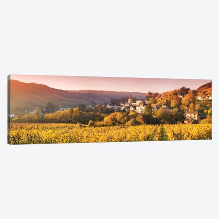 Vineyards In Burgundy, France Canvas Print #TEO1045} by Matteo Colombo Canvas Artwork