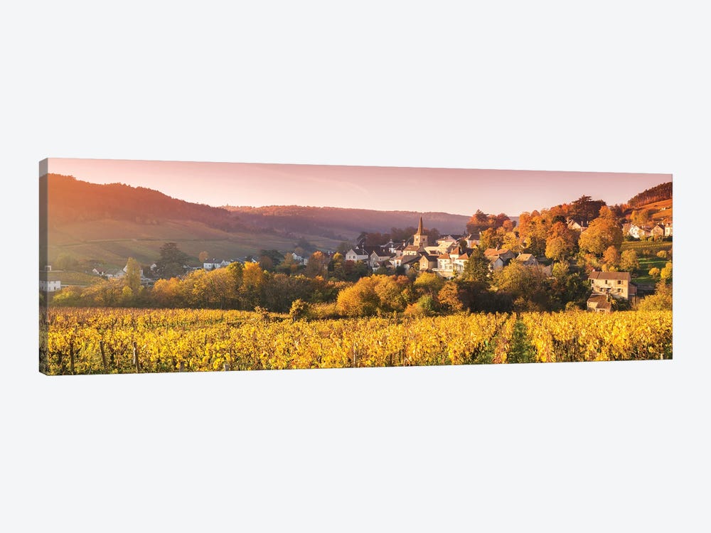 Vineyards In Burgundy, France by Matteo Colombo 1-piece Canvas Artwork