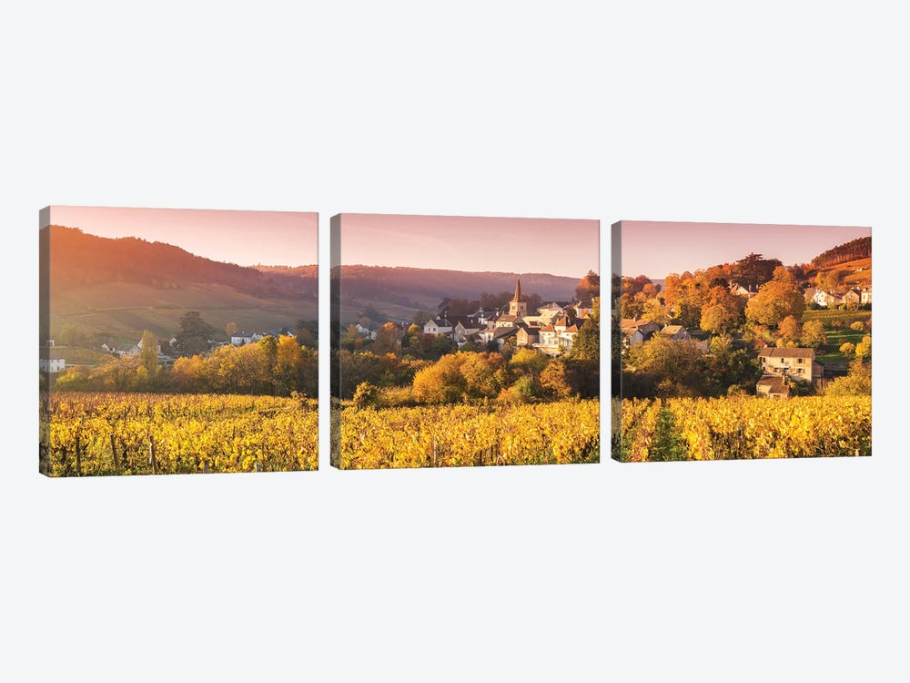 Vineyards In Burgundy, France by Matteo Colombo 3-piece Canvas Wall Art