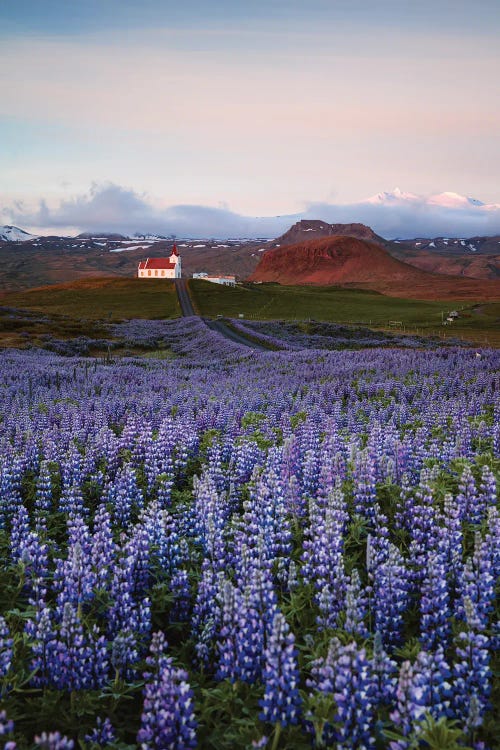 Summer In Iceland