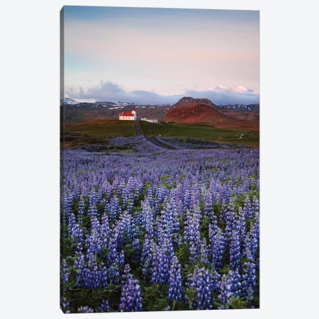 Summer In Iceland Canvas Print #TEO1083} by Matteo Colombo Canvas Print
