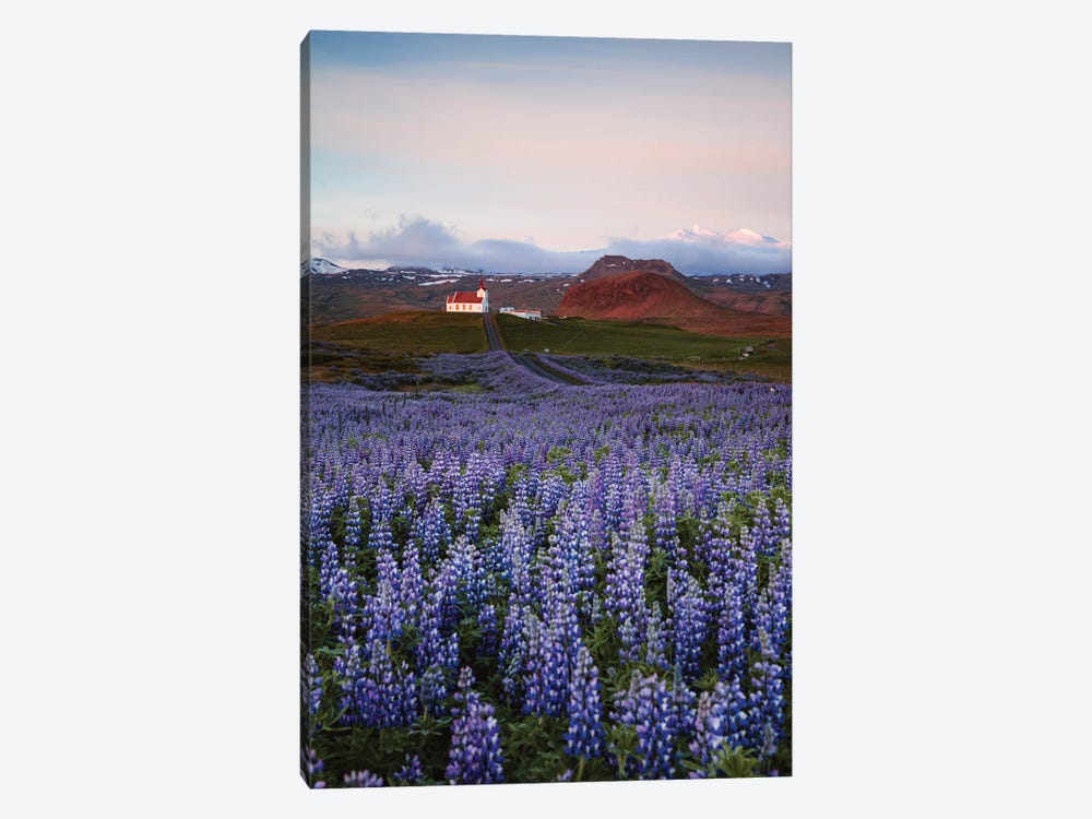 Summer In Iceland by Matteo Colombo 1-piece Canvas Artwork
