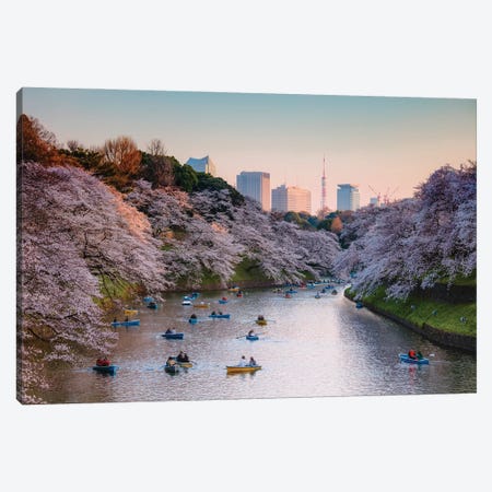 Cherry Blossoms In Tokyo I Canvas Print #TEO1100} by Matteo Colombo Canvas Wall Art