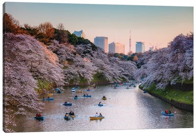 Cherry Blossoms In Tokyo I Canvas Art Print - City Sunrise & Sunset Art