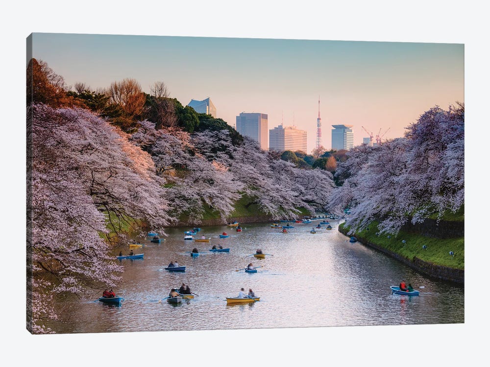 Cherry Blossoms In Tokyo I by Matteo Colombo 1-piece Canvas Art